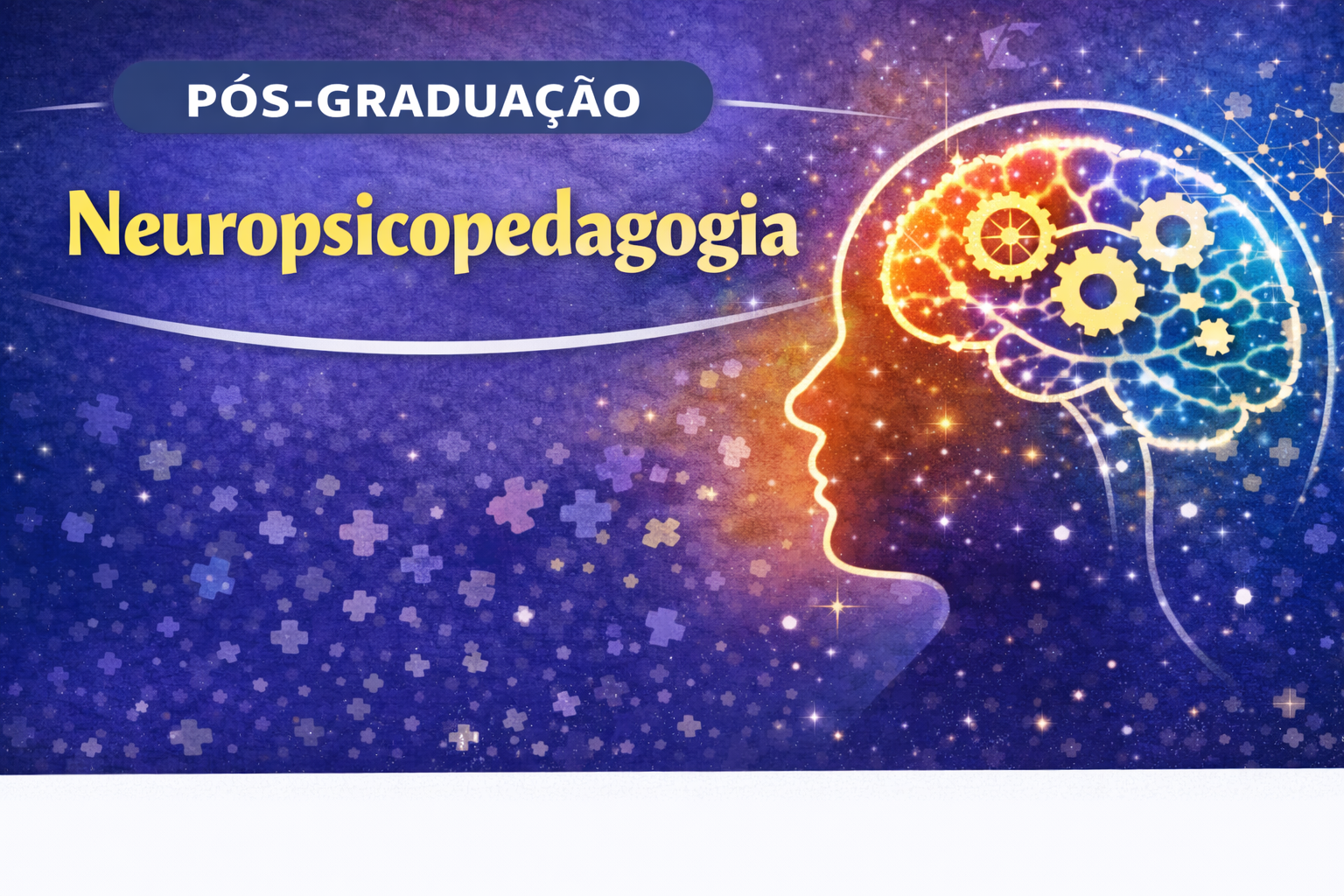 Pós-graduação: Neuropsicopedagogia
